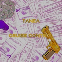 Cruise Control - Single - TANEA