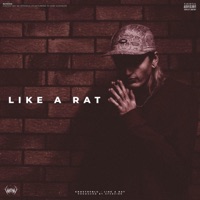 Like a Rat - Single - ghostofblu