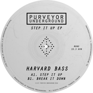 Step It Up - Single
