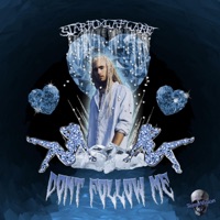 Dont Follow Me - Single - Starfoxlaflare