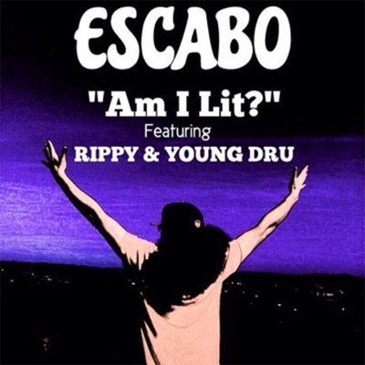 Am I Lit? (feat. Rippy & Young Dru) - Single
