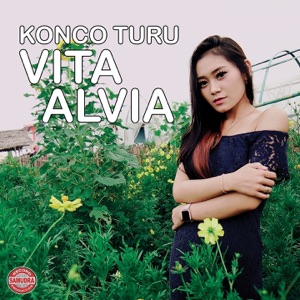 Chord Gitar Mati Roso - Vita Alvia