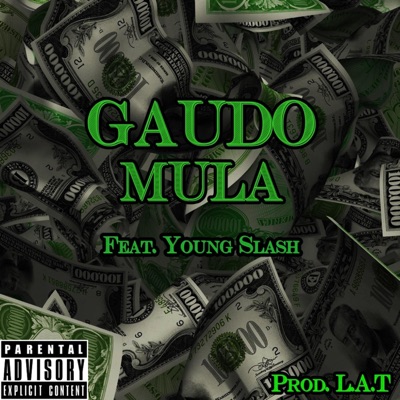 Mula (feat. Young Slash) - Single