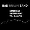 Bad Braun Band