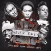 Never Easy (feat. Sizzla Kalonji, Vershon, Remy Boy Monty & Chellavich) - Single