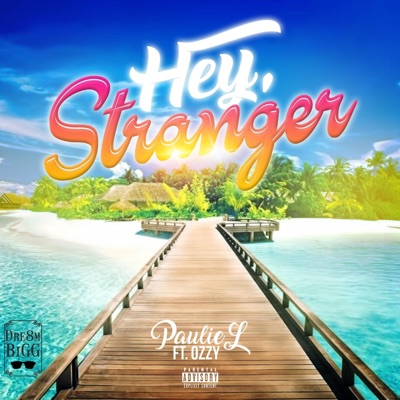 Hey, Stranger (feat. Ozzy) - Single