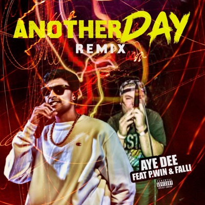 Another Day (feat. P.Win) [Falli Remix] - Single
