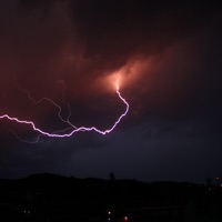 Squid Mind. - Single - mndbd