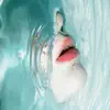 Greatest Lakes - Animals