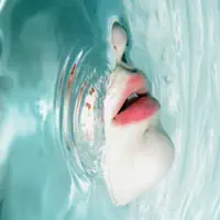 Animals — Greatest Lakes