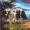 Indispensable Amor - Single