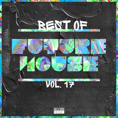 Best of Future House, Vol. 17
