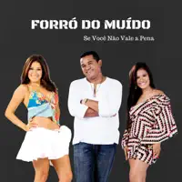 Se Voce Nao Vale Apena — Forro Do Muido