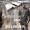 Dillinger - War Is Over