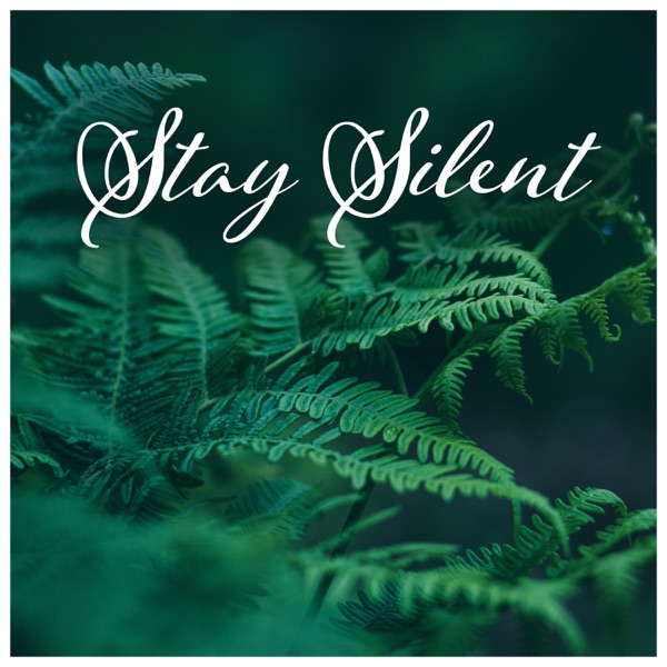Stay Silent – Serenity Connection, Journey for Relaxation, Spiritual Nature, Cure for Bad Mood, Awaken Your Imagination