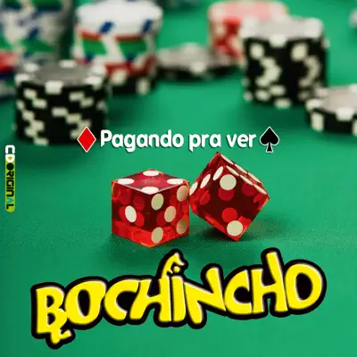 Pagando Pra Ver - Bochincho