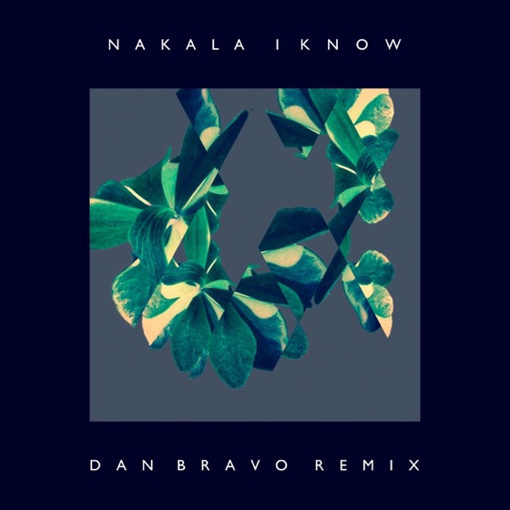 Cover artwork for I Know (Dan Bravo Remix)