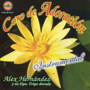Coros de Adoración