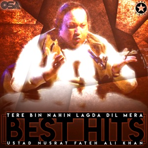 Tere Bin Nahin Lagda (feat. Partners In Rhyme) [Remix]