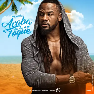 Acaba de Dar o Toque - Single - C4 Pedro