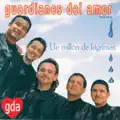 Para Volver A Amarte