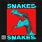 Snakes (feat. J Flo & Yung Tyran) - SkyCityUno lyrics