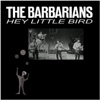 Hey Little Bird - EP