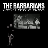 The Barbarians - Hey Little Bird