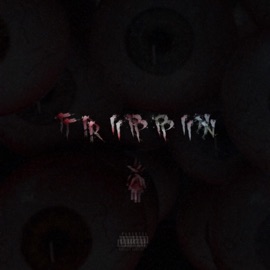 Trippin (feat. Duece) Jair