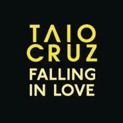 Falling In Love (Acoustic Version) - Single - Taio Cruz