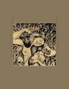 Acid Blendを聴いたり、ミュージックビデオを鑑賞したり、経歴やツアー日程などを確認したりしましょう！