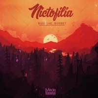 Sublime Sunset - Single - Nictofilia