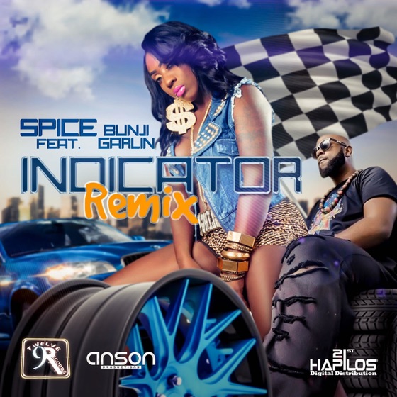 Cover artwork for Indicator (feat. Bunji Garlin)