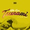 Tsunami (feat. Saint Wavo) - Kike Cruz lyrics