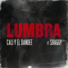 Cali y El Dandee - Lumbra (feat. Shaggy)