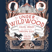 Under Wildwood - Colin Meloy