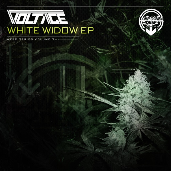 White Widow - EP