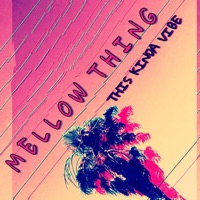 This Kinda Vibe - Mellow Thing