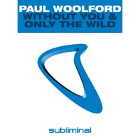 Without You & Only the Wild - Single - Paul Woolford