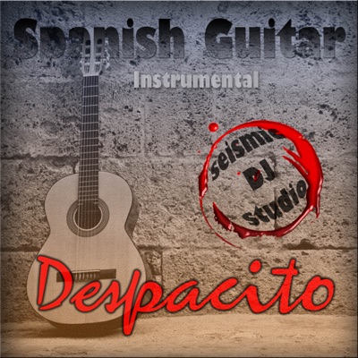 Despacito (Instrumental) - Seismic DJ Studio | Shazam