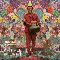 Harouna Samake - Kamale Blues artwork