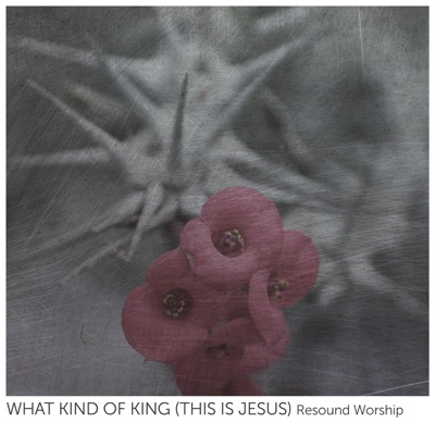 What Kind of King (This Is Jesus) - Single