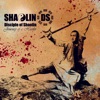 Shaolin DS - Criminal Mind