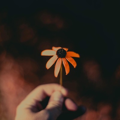 What's Left? - Single