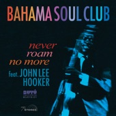 Never Roam No More (feat. John Lee Hooker) artwork