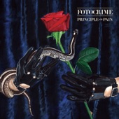 Fotocrime - The Rose and the Thorn