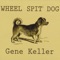 Song for Skip - Gene Keller lyrics