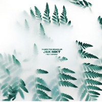 Jak Nikt - Single - Bambo the Smuggler