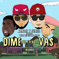 Dime Que Ya No Te Vas (feat. Wiso G & Chyno Nyno) - Single - Xandel y Juniel