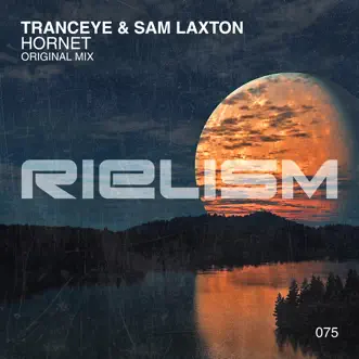 Hornet by TrancEye & Sam Laxton song reviws